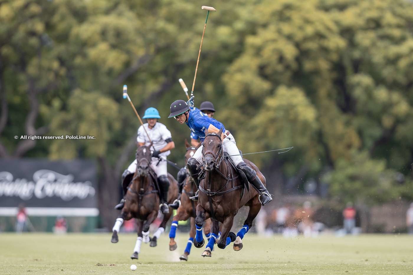 Ellerstina vs. Los Machitos