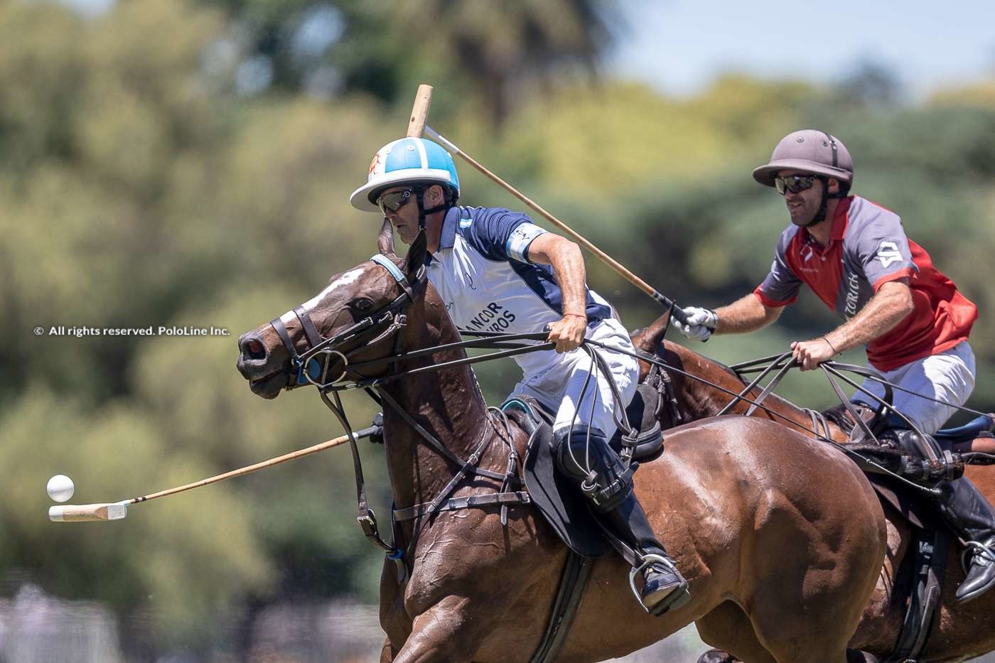 La Dolfina vs La Irenita II