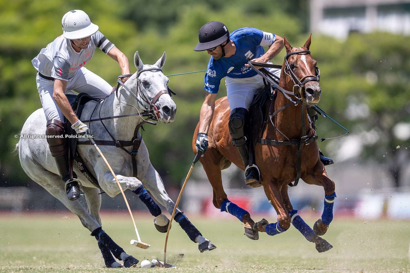 Ellerstina vs. Cria GT