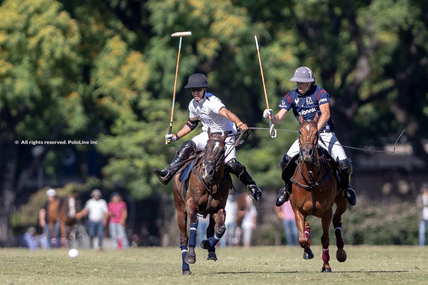 La Dolfina Polo Ranch vs. La Ensenada La Aguada