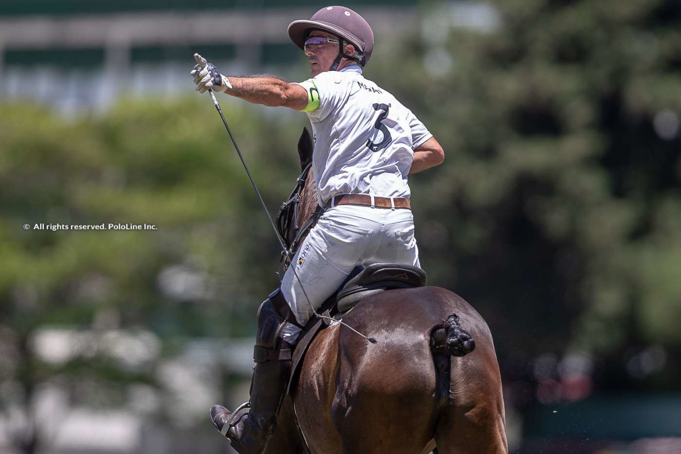 Los Machitos vs. La Dolfina Polo Ranch