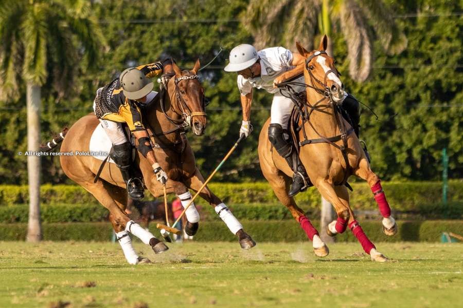 Aspen vs. Palm Beach Equine