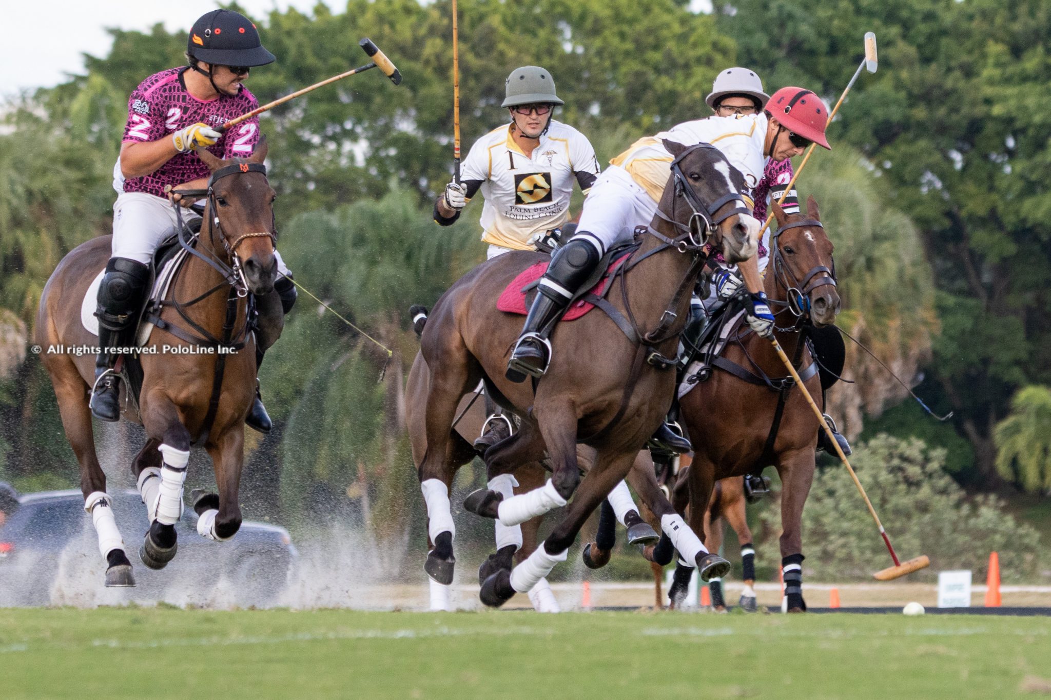 Beverly Polo vs. Palm Beach Equine