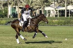 Rewatch the semifinals of the EPA Cup on PoloLine TV