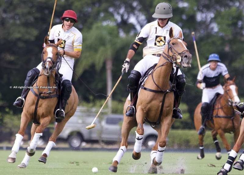 Palm Beach Equine vs. Beverly Polo