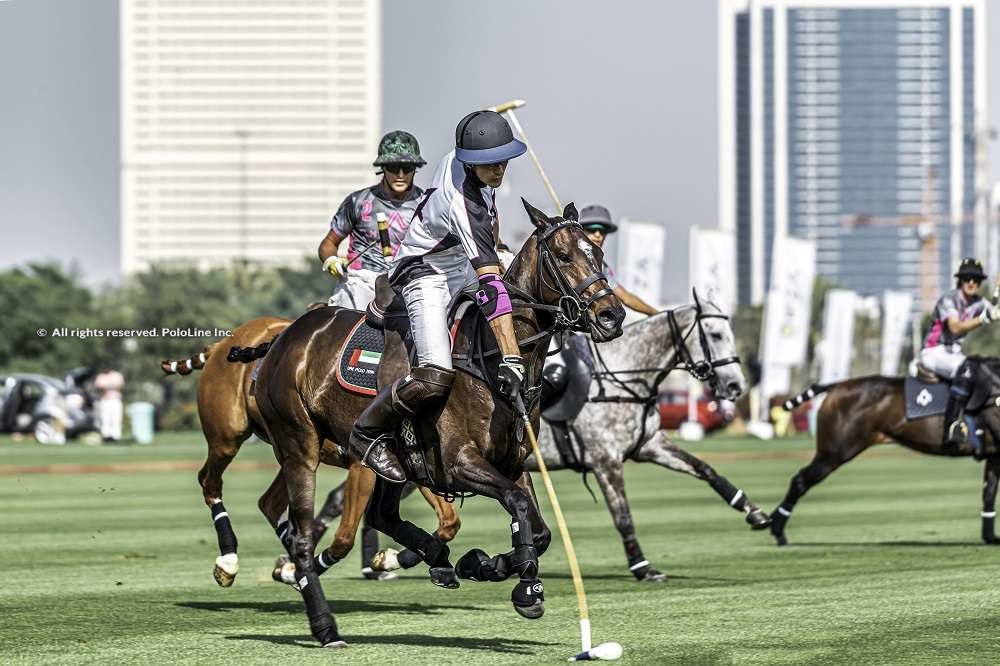 UAE Polo vs AM Polo