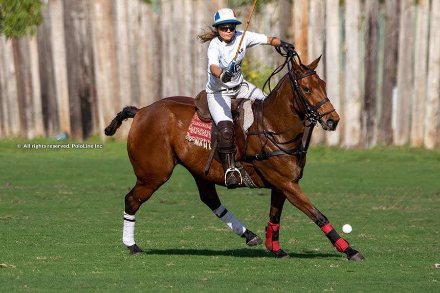 Equestrian Club Agro Handel Śrem - Polish Equestrian Legends