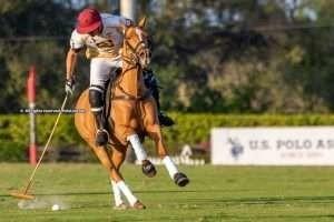 “Polo in the US is doing very well; there are a lot of players and patrons around”