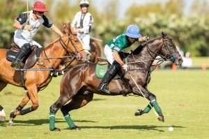 USPA Gold Cup: Tonkawa & Park Place on the winning path