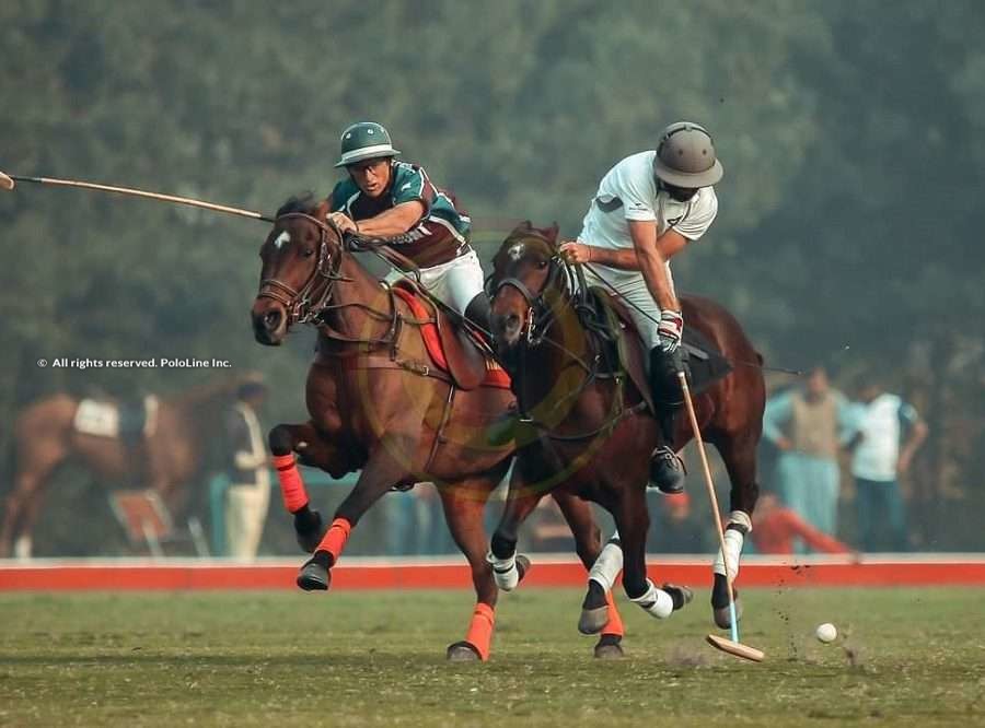 Polo champ on sale