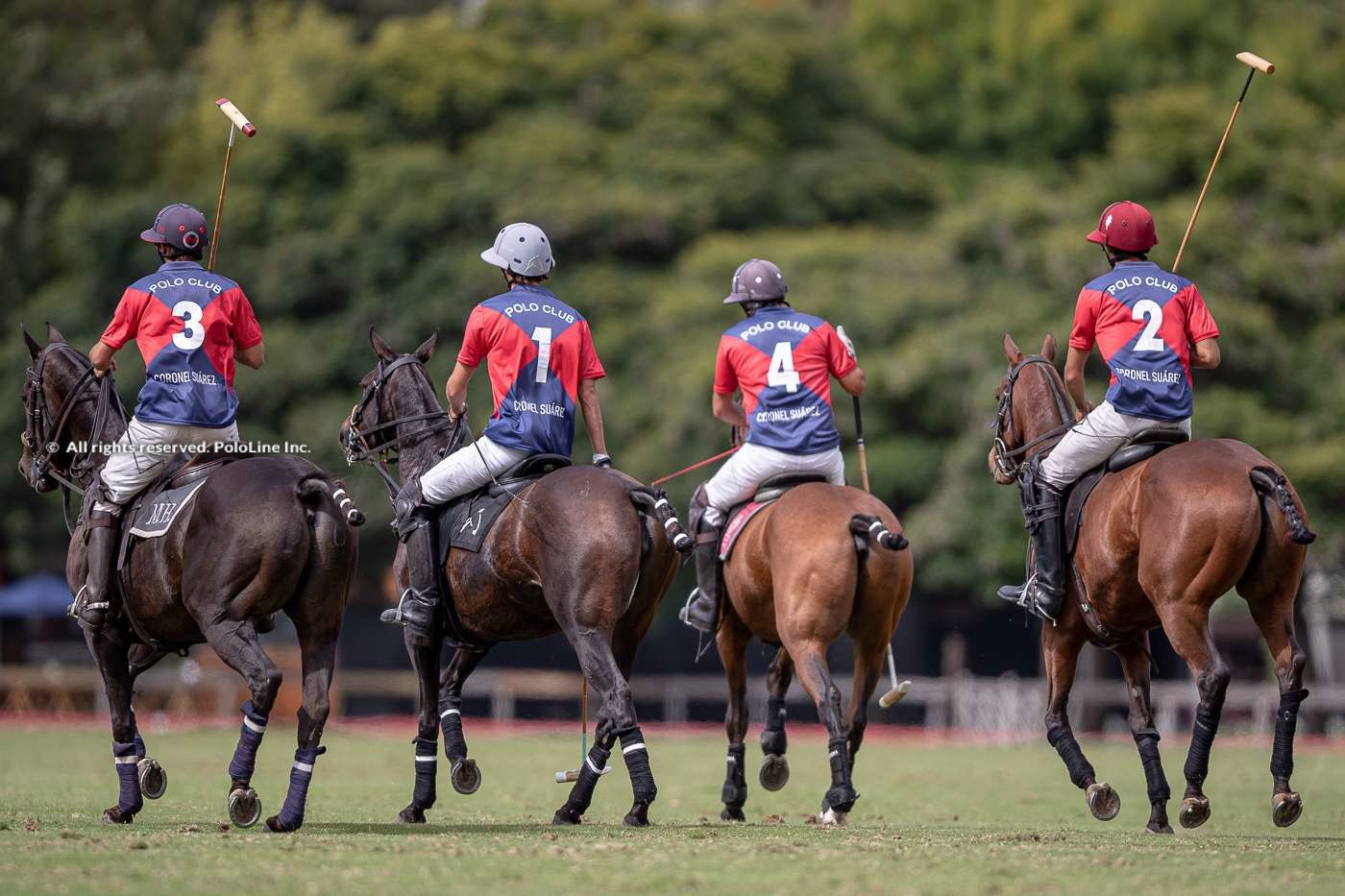 Final La Nación Cup, Coronel Suarez vs. Ivy Marai Black Hound