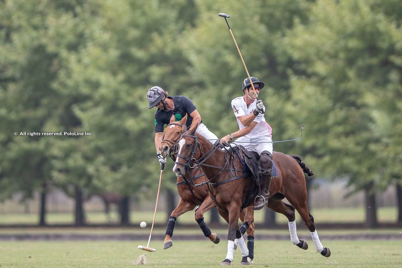 Thai Polo Autumn Cup Day 2