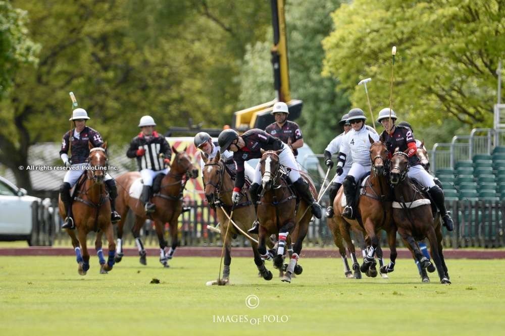 Subsidiary Final, Oakley Court vs. Emlor Black