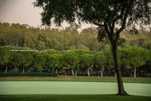 Sotogrande: Ready for Action