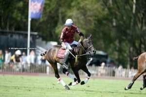 Warwickshire Cup: Emlor and Vikings to decide title; WATCH LIVE ON POLOLINE TV