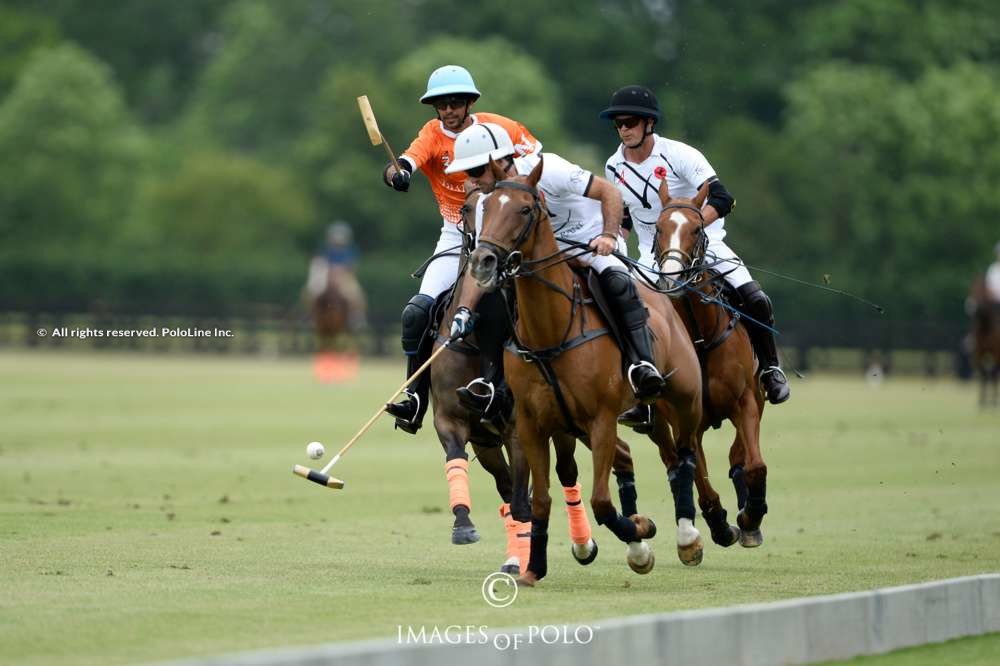 White Crane vs. Thai Polo