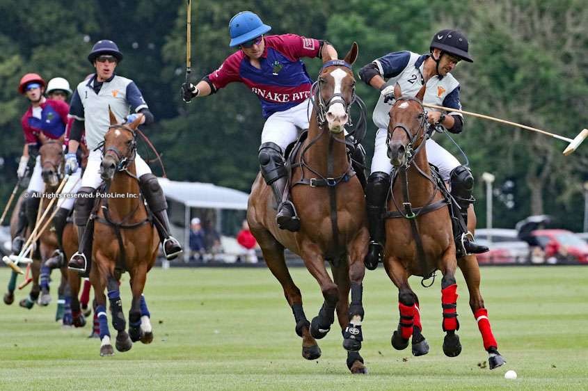 Apsley Cup Final, Snake Bite vs. Noon Giraffe