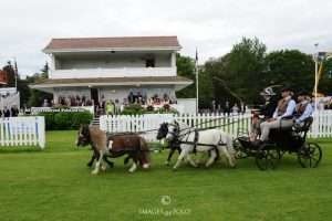 Arranca la Royal Windsor Cup