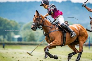 El Overo Z7 UAE y Nuestra Tierra, finalistas de la Copa Pilar
