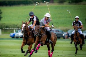 Gold Cup for the British Open: Saturday wins for Talandracas and Monterosso