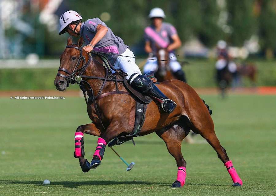 Coupe d’Or, Talandracas vs. Brittany Polo