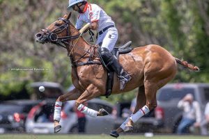 Torneo Clasificatorio: Chapaleufu y La Irenita II por el primer ticket a Palermo