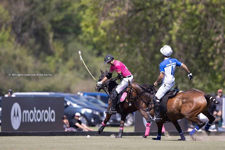 Tortugas Open, Ellerstina vs. Alegria