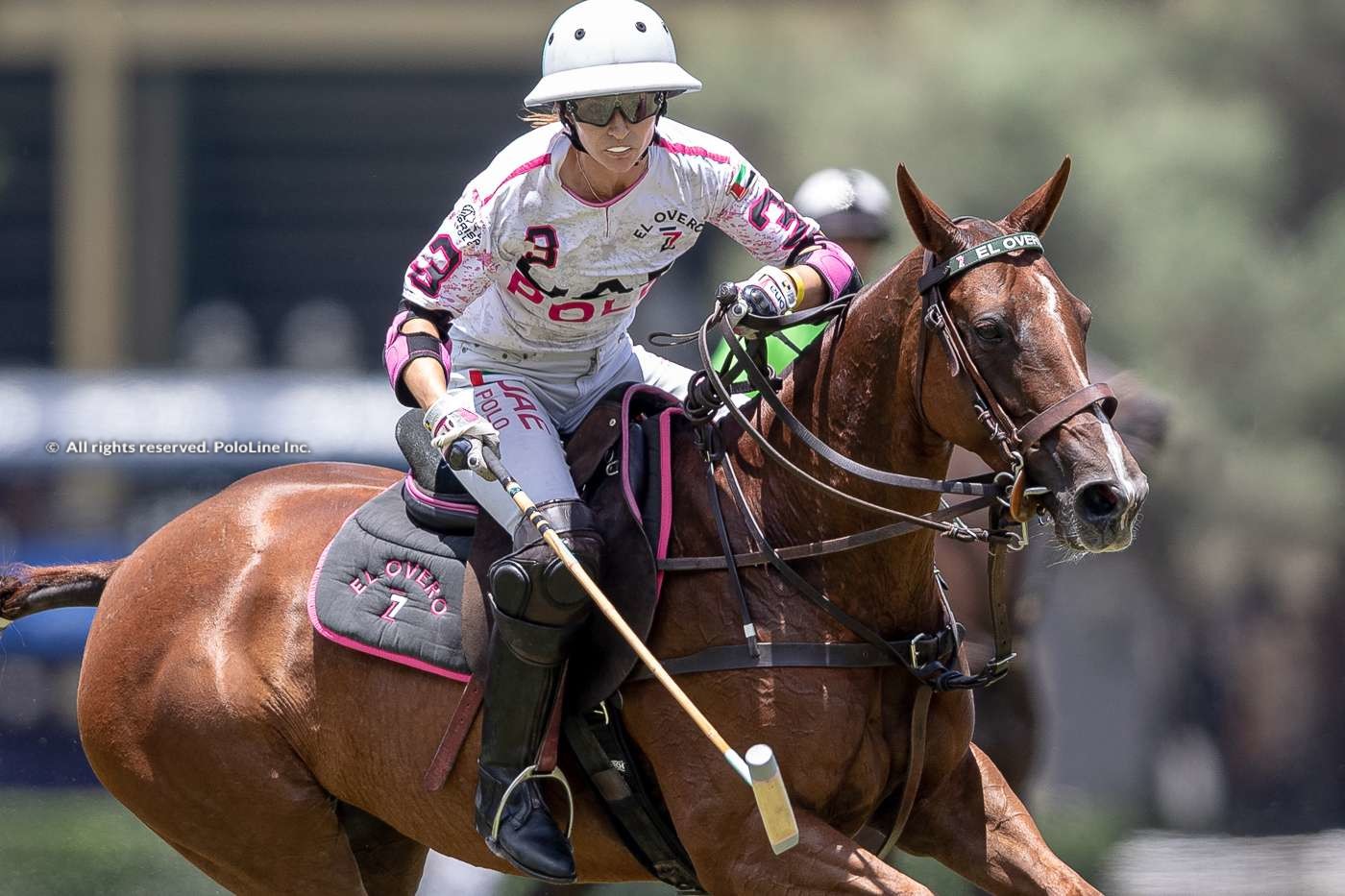 Pololine Comienza el V Abierto Argentino de Polo Femenino