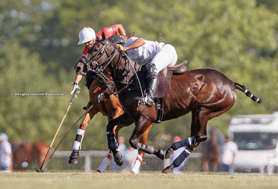 Argentine Open – La Dolfina Brava vs. Chapaleufu