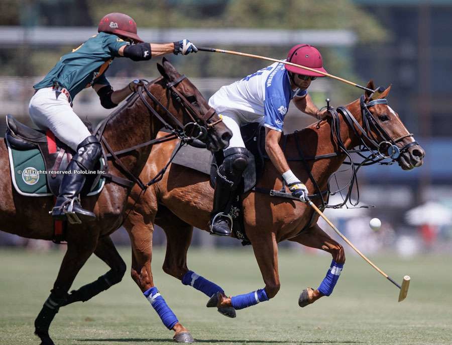 Argentine Open – Ellerstina vs. Alegria Fish Creek