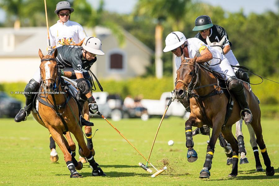 Beverly Polo vs CK Shack