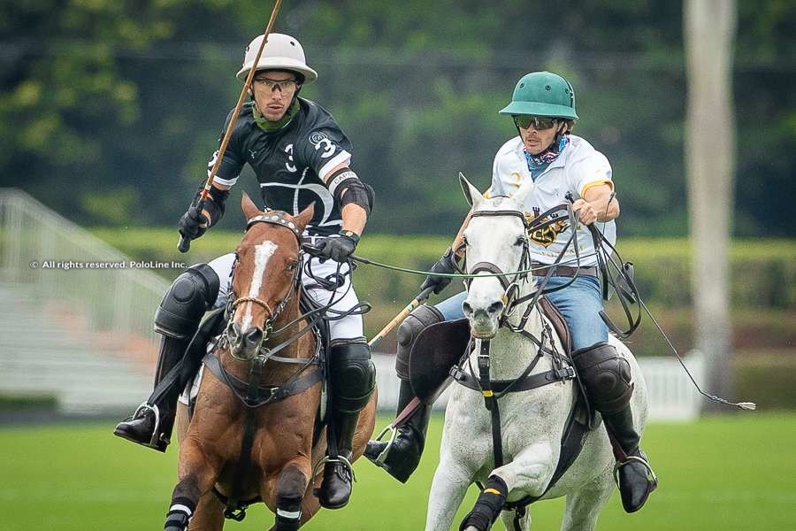 CK Polo vs Beverly Polo