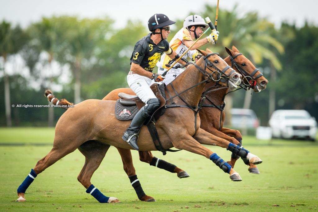 Hawaii Polo Life vs. Dundas