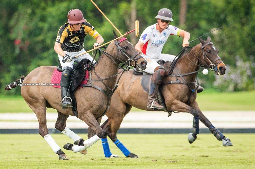 Patagones vs Palm Beach Equine