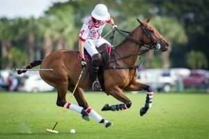 USPA Gold Cup: Second leg of The Gauntlet of Polo begins
