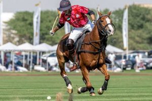 Gold Cup: Final countdown; WATCH LIVE ON POLOLINE TV