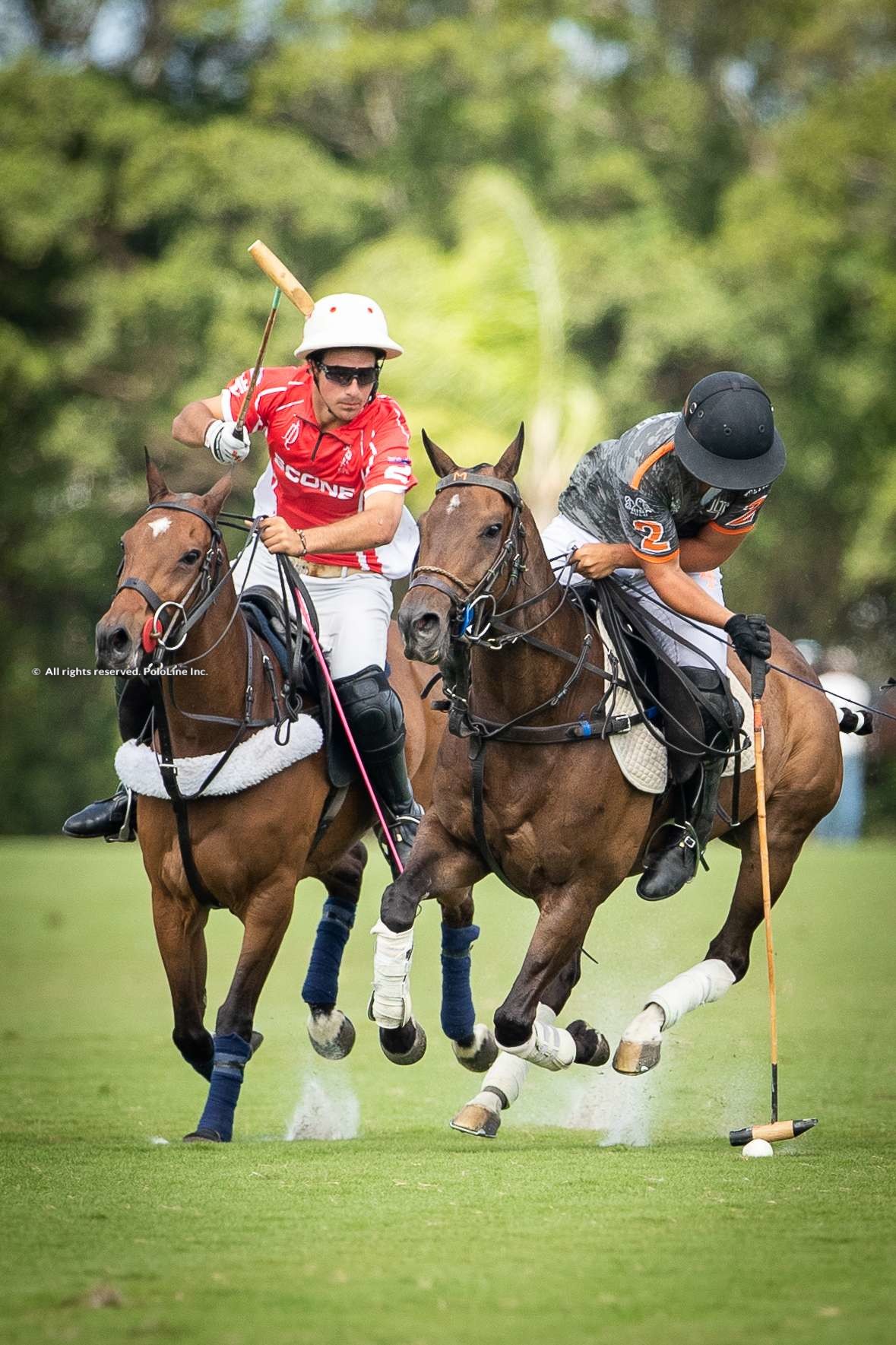 USPA Gold Cup – Scone vs. La Fe