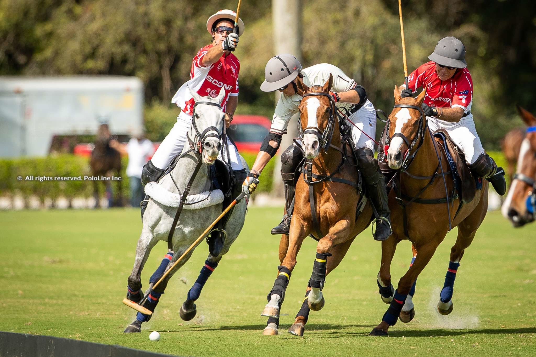 USPA Gold Cup – Scone vs. CK Shack