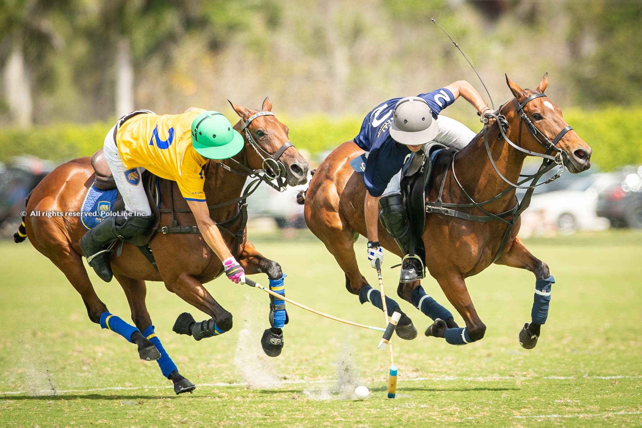 USPA Gold Cup – Park Place vs. Tamera