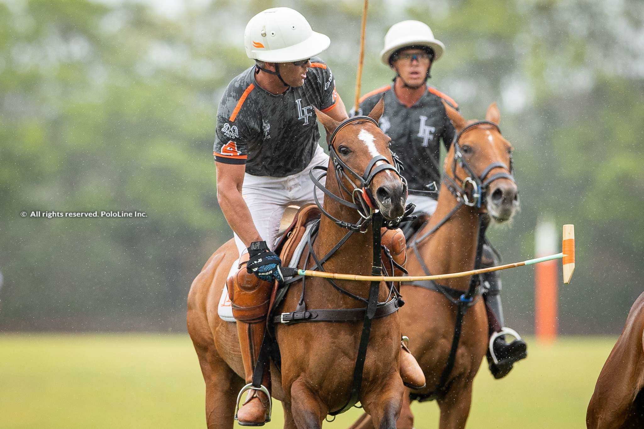 USPA Gold Cup – Tamera vs. La Fe