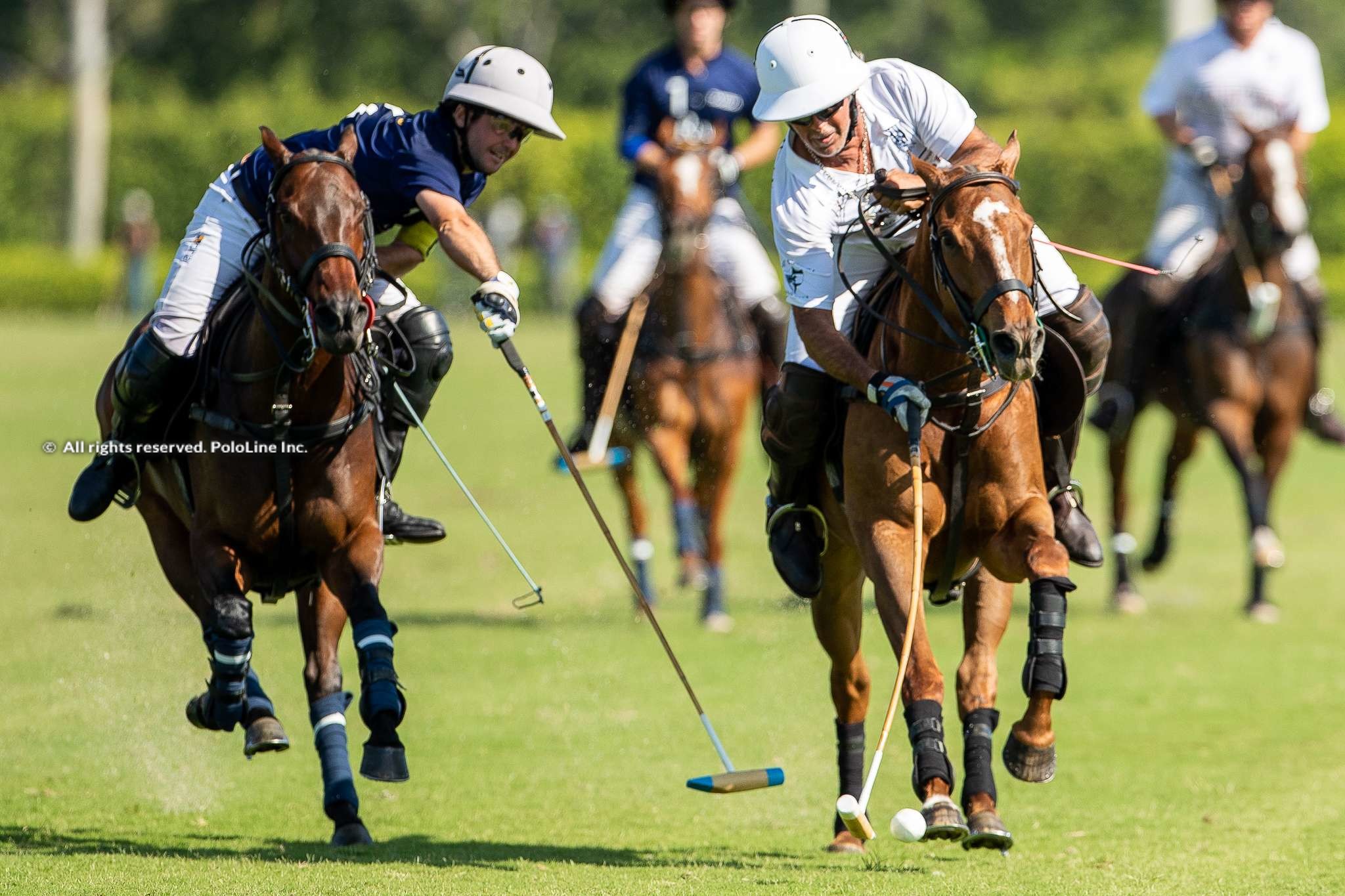 USPA Gold Cup, QF #2 – Tamera vs. Old Hickory Bourbon