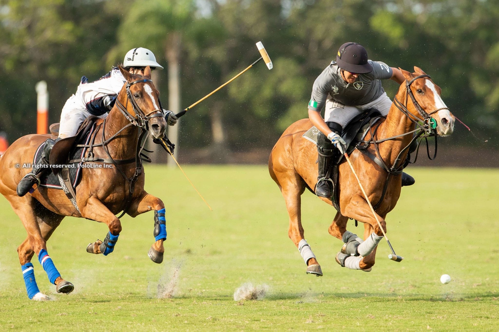 USPA Gold Cup – Dutta Corp / Show+ vs. SD Farms