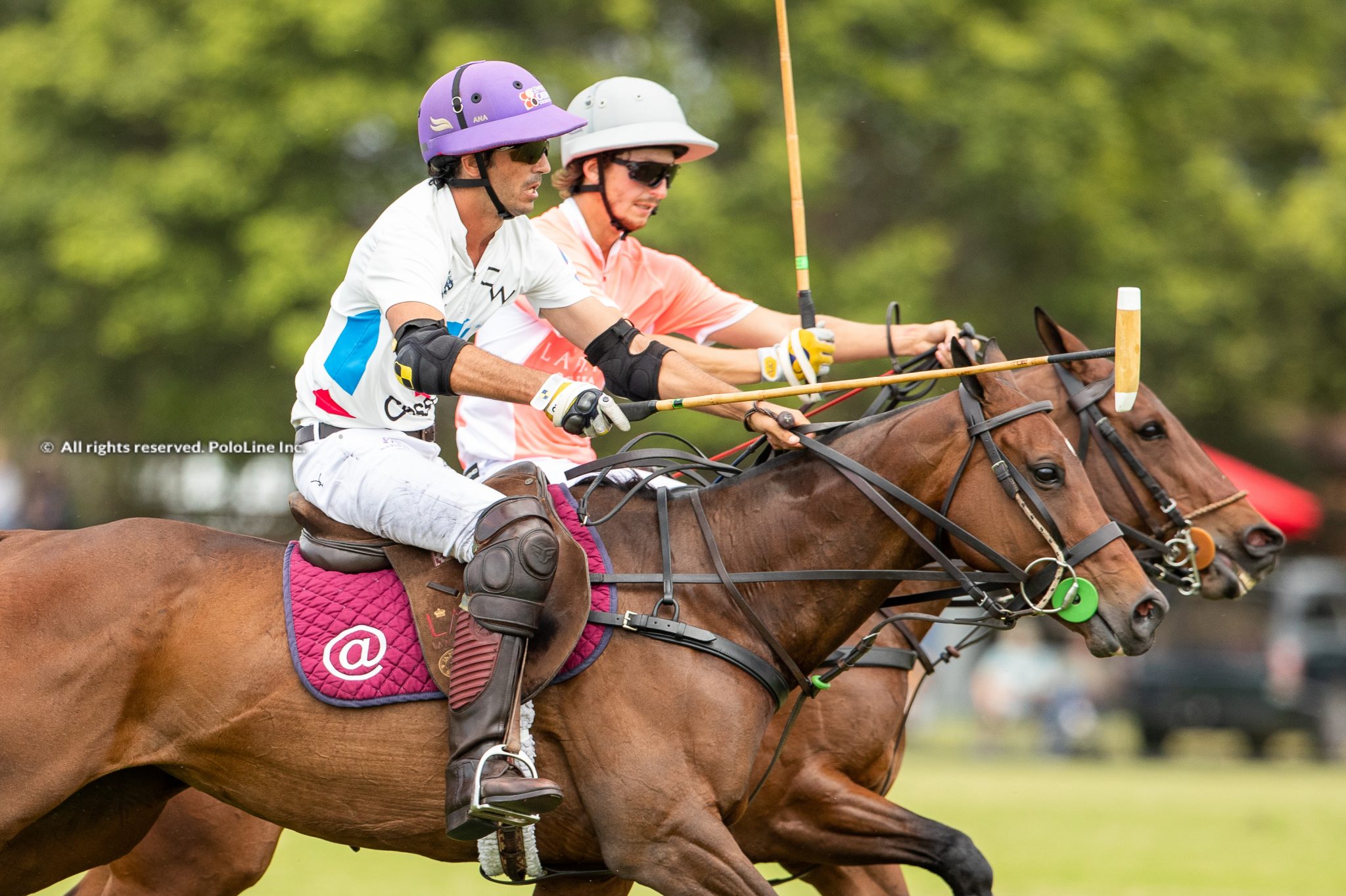 USPA Gold Cup – La Elina vs. Cessna