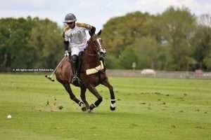 The importance of pauses in polo