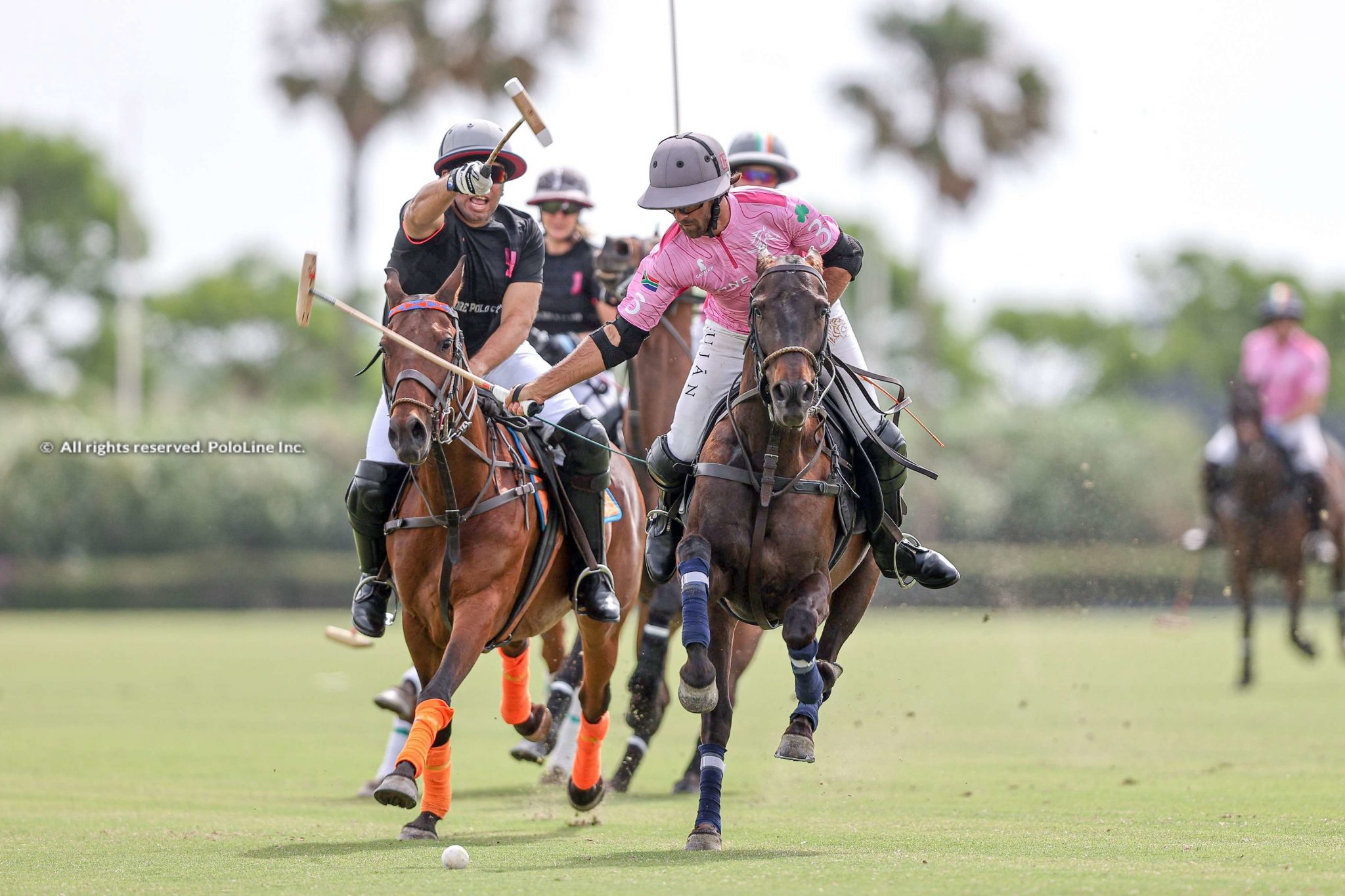 Finales Copa San Enrique de Guadiaro