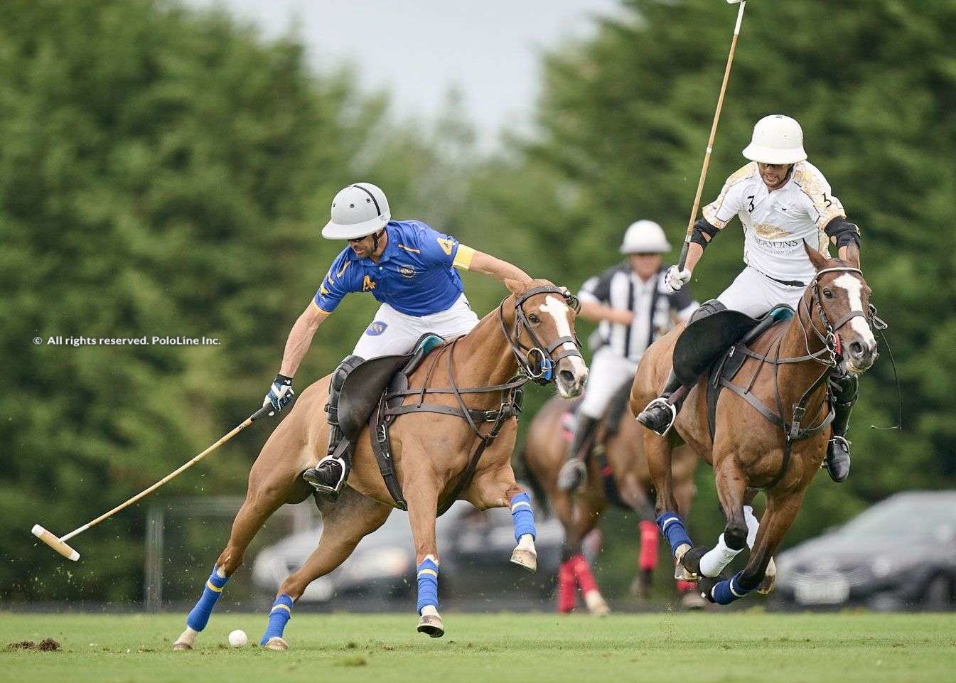 British Open, Day 7