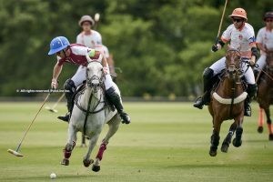 British Open: Marqués de Riscal and Park Place victorious