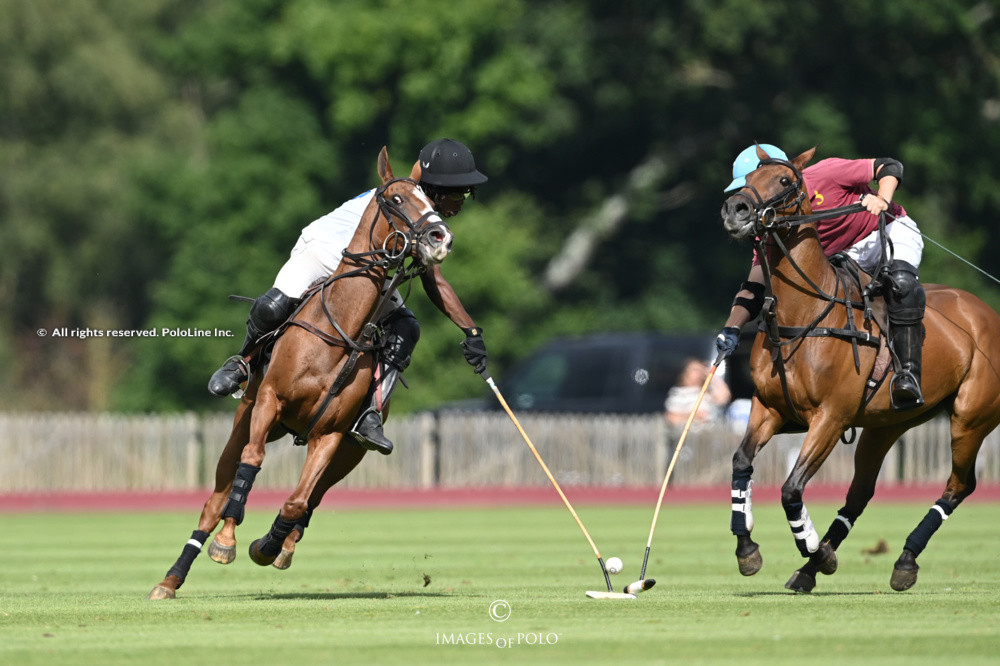 Flemish Farm Trophy