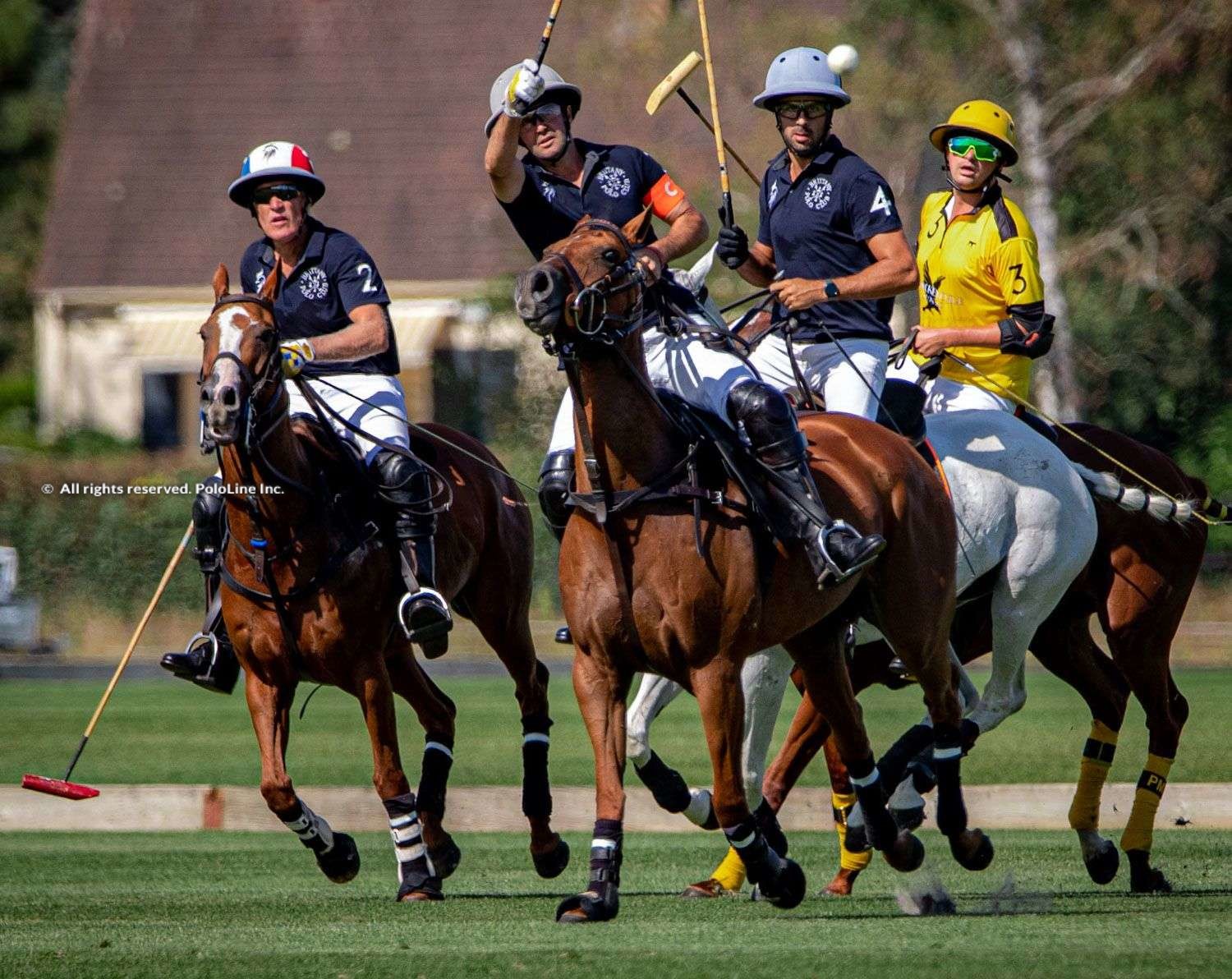 Open de France – Brittany Polo Club vs. Schockemohle