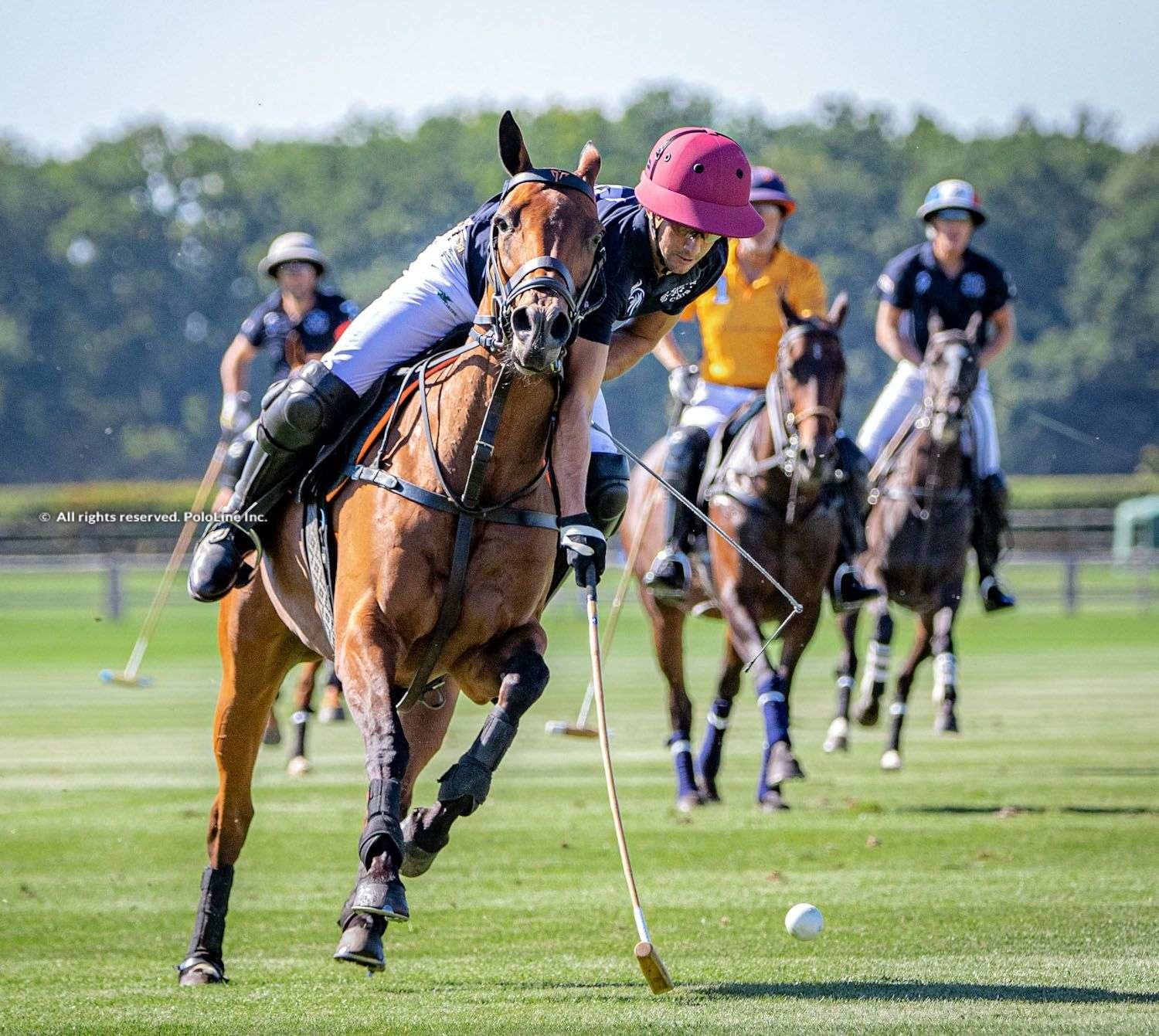 Open de France, QF #4 – Brittany Polo Club vs. La Berta